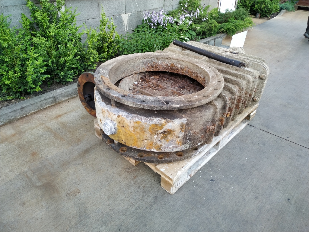 IMG 20190710 061127